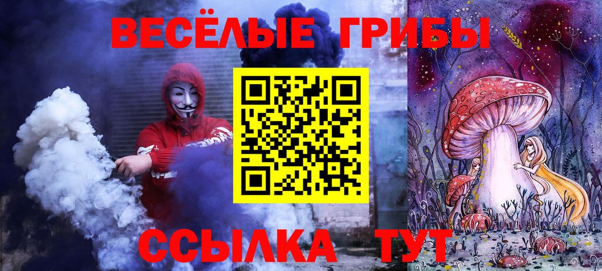 Псилоцибиновые грибы Psilocybine cubensis  Вход с VPN  Заволжье 
